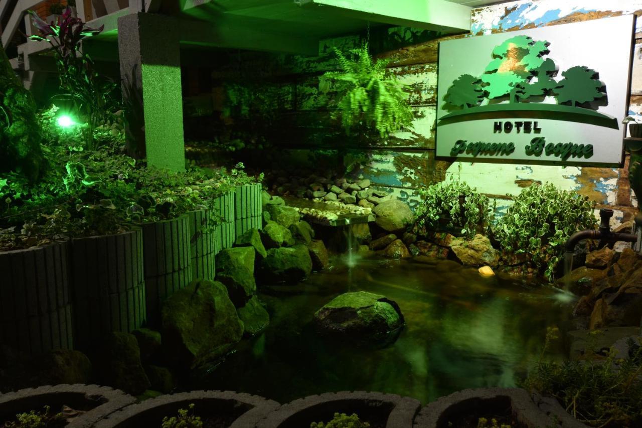 Pequeno Bosque Hotel Gramado