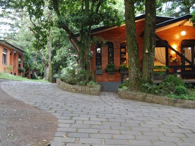 Pequeno Bosque Gramado