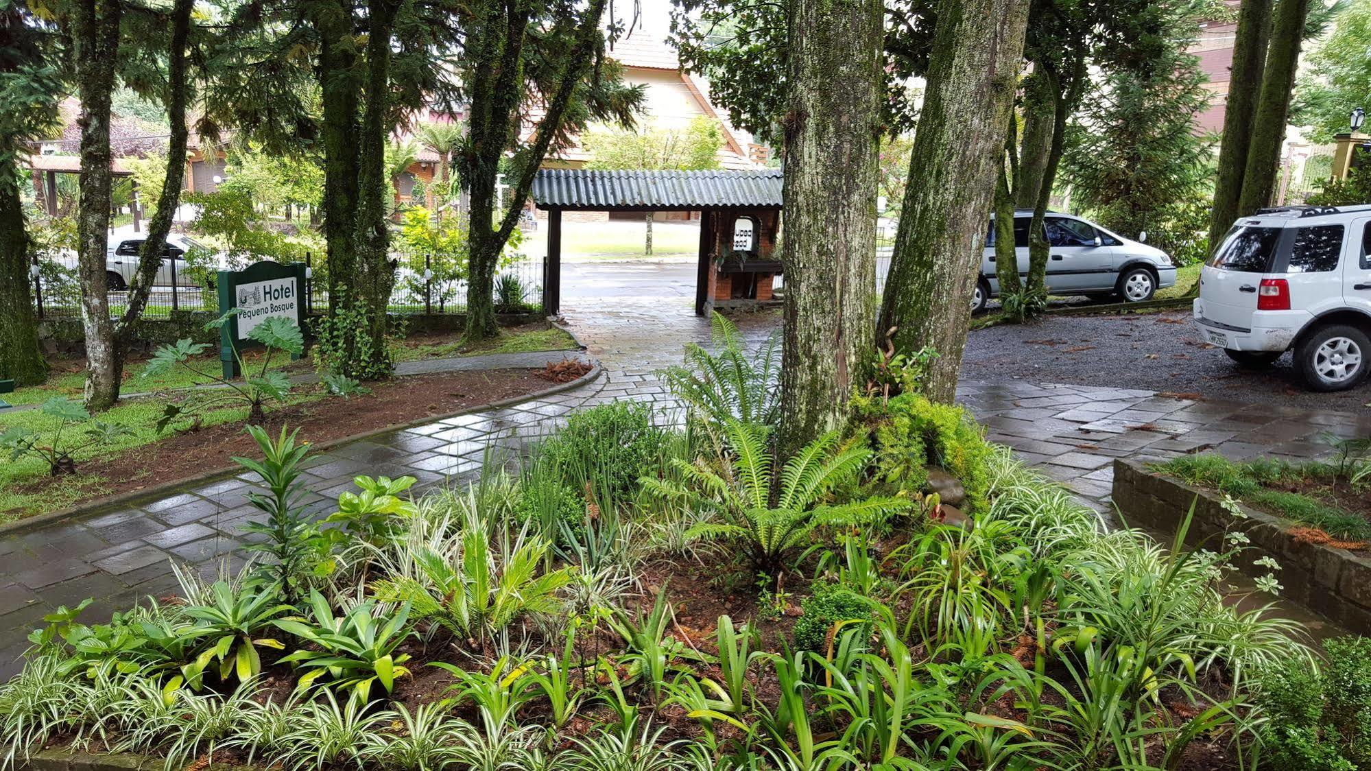 Hotel Pequeno Bosque 3*