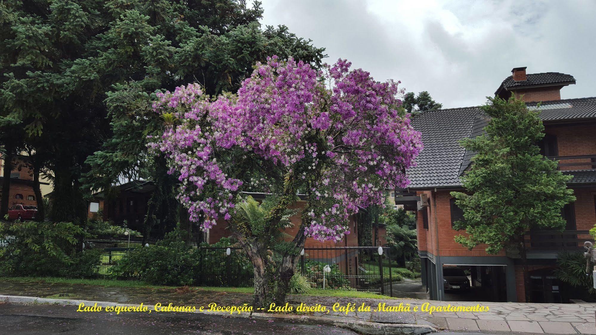 Hotel Pequeno Bosque Gramado